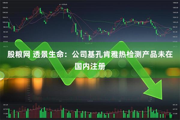 股粮网 透景生命：公司基孔肯雅热检测产品未在国内注册
